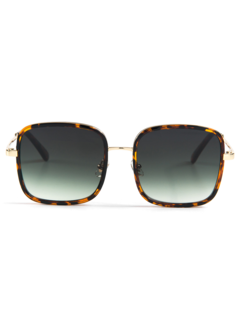 /original/M2021_EYEC_TORTIE_1.png_convert-240x320