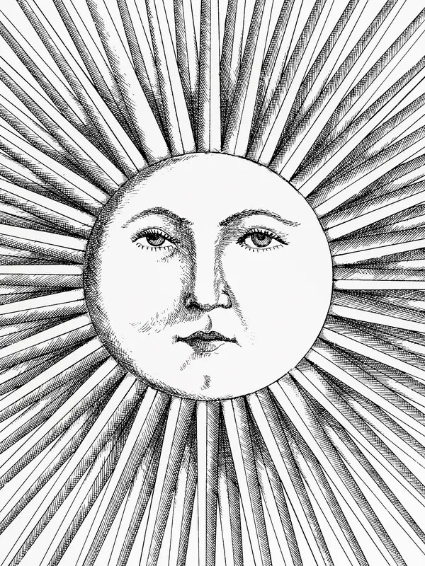 /original/M29X246_FORN_BlackWhite_3.png_convert-600x800