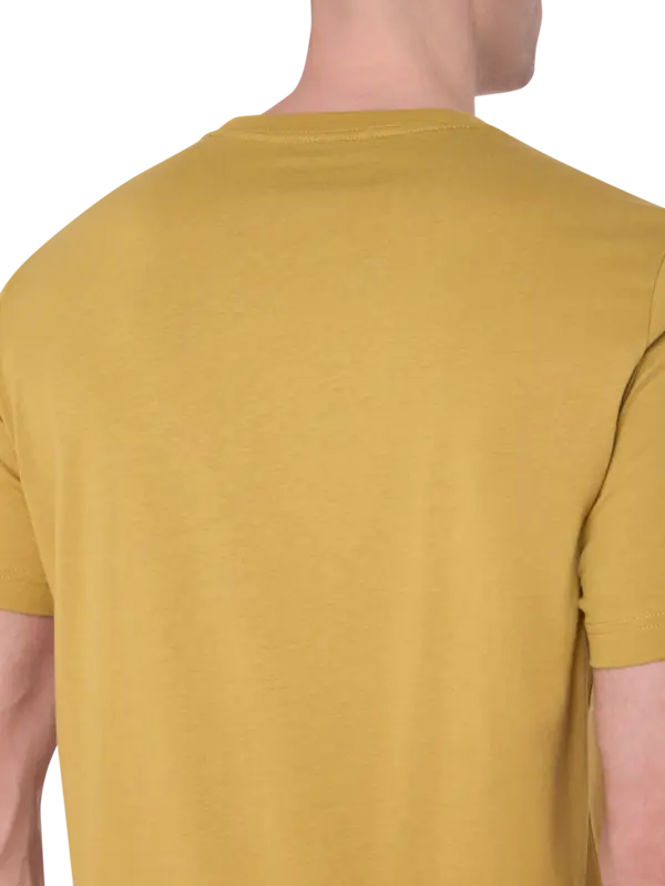 /original/M2R011RVP5618_PAUL_Yellow_5.png_convert-600x800