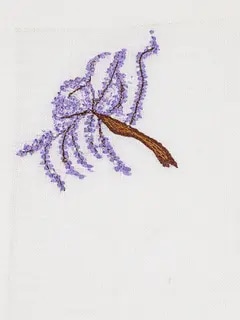 /original/MAN-12501_CONS_Lilac_2.png_convert-240x320