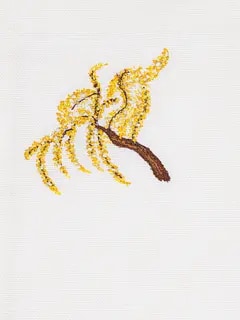 /original/MAN-12503_CONS_Yellow_2.png_convert-240x320