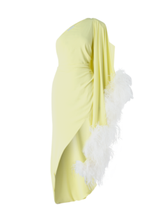 /original/MARIA_NERV_975 CANARA_1.png_convert-240x320