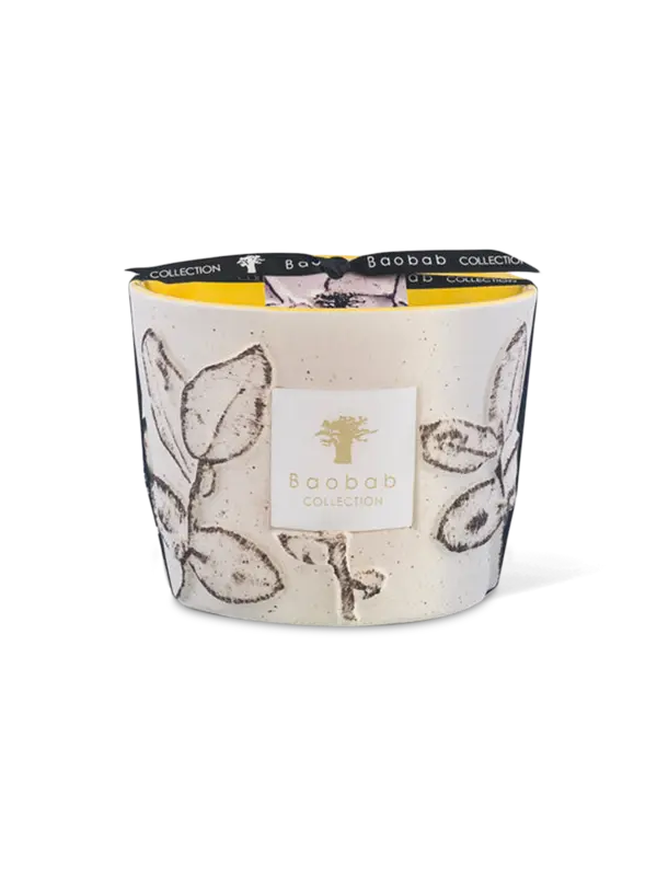 /original/MAX10FCAL_BAOB_White_1.png_convert-600x800