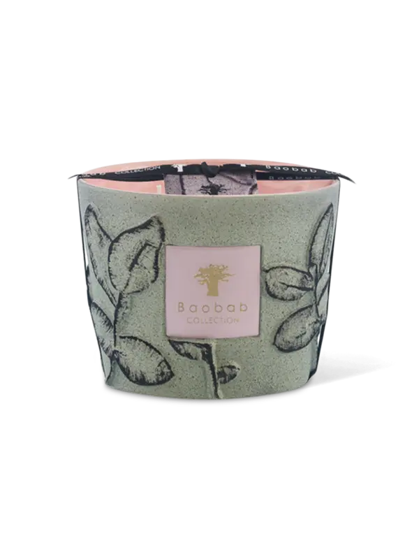 /original/MAX10FMAQ_BAOB_Green_1.png_convert-600x800