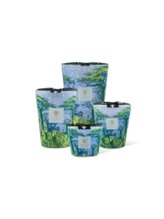 /original/MAX10STYA_BAOB_Blue_3.png_convert-240x320