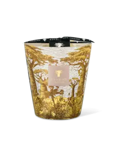 /original/MAX16STBOU_BAOB_Yellow_1.png_convert-240x320