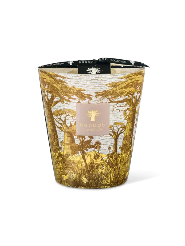 /original/MAX16STBOU_BAOB_Yellow_1.png_convert-600x800