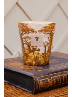 /original/MAX16STBOU_BAOB_Yellow_2.png_convert-240x320