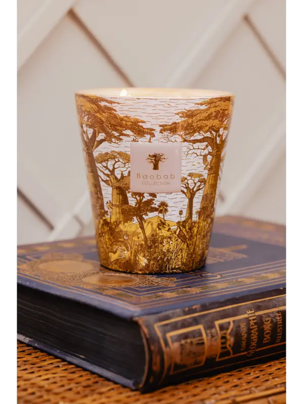 /original/MAX16STBOU_BAOB_Yellow_2.png_convert-600x800