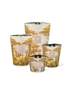 /original/MAX16STBOU_BAOB_Yellow_3.png_convert-240x320