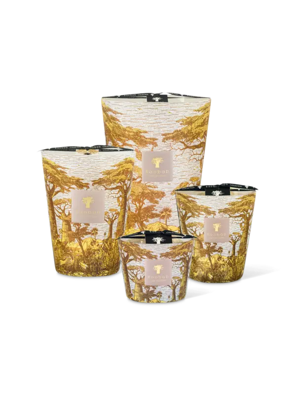 /original/MAX16STBOU_BAOB_Yellow_3.png_convert-600x800