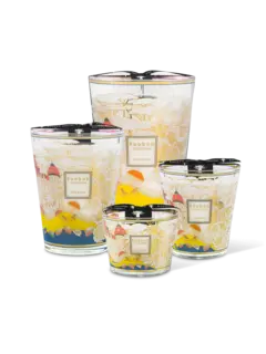 /original/MAX24CDA_BAOB_Multicolou_3.png_convert-240x320