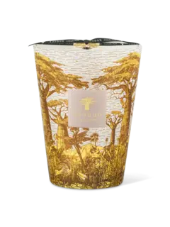 /original/MAX24STBOU_BAOB_Yellow_1.png_convert-240x320