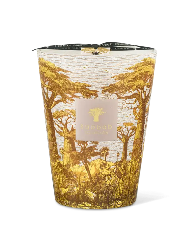 /original/MAX24STBOU_BAOB_Yellow_1.png_convert-600x800