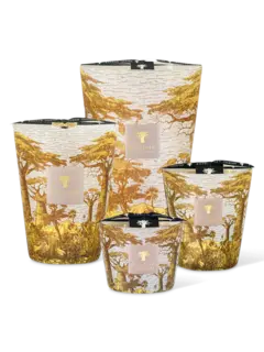 /original/MAX24STBOU_BAOB_Yellow_3.png_convert-240x320