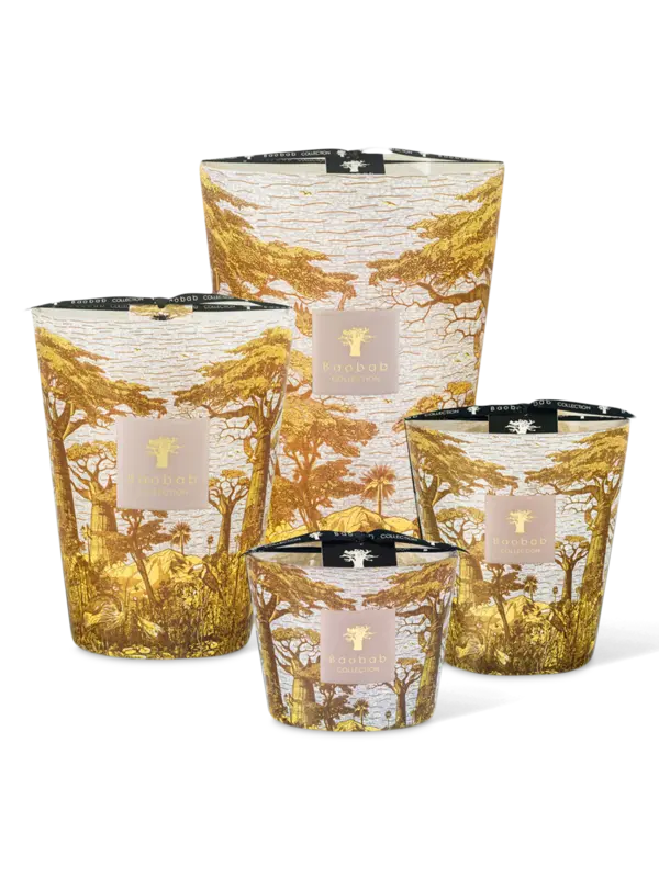 /original/MAX24STBOU_BAOB_Yellow_3.png_convert-600x800