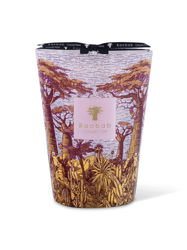 /original/MAX24STMA_BAOB_Red_1.png_convert-600x800