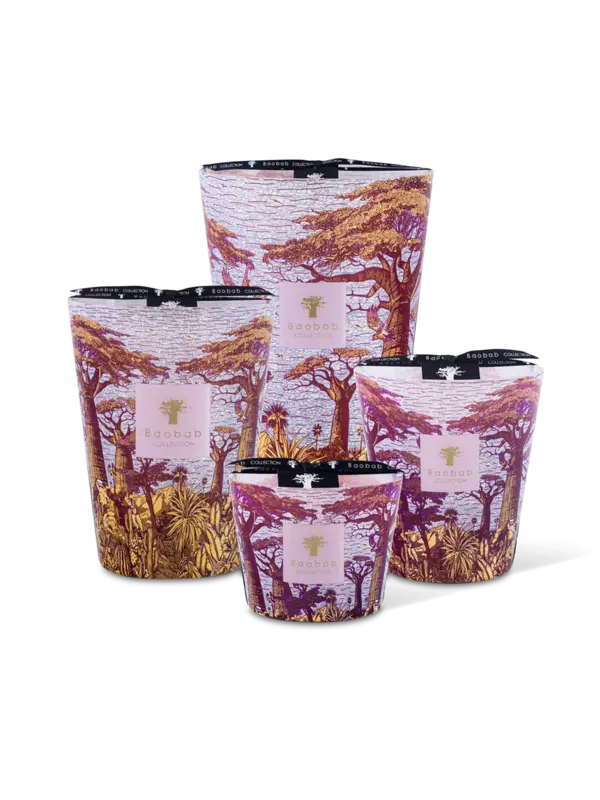 /original/MAX24STMA_BAOB_Red_3.png_convert-600x800