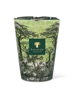 /original/MAX24STTOU_BAOB_Green_1.png_convert-240x320