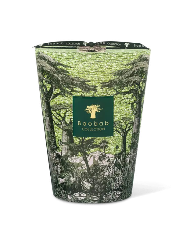 /original/MAX24STTOU_BAOB_Green_1.png_convert-600x800