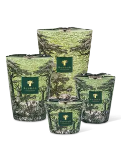 /original/MAX24STTOU_BAOB_Green_3.png_convert-240x320