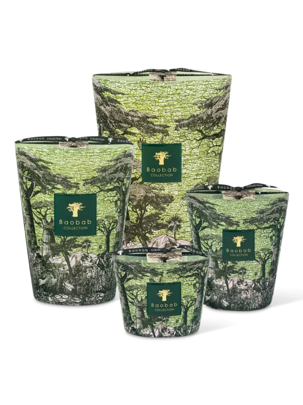 /original/MAX24STTOU_BAOB_Green_3.png_convert-600x800