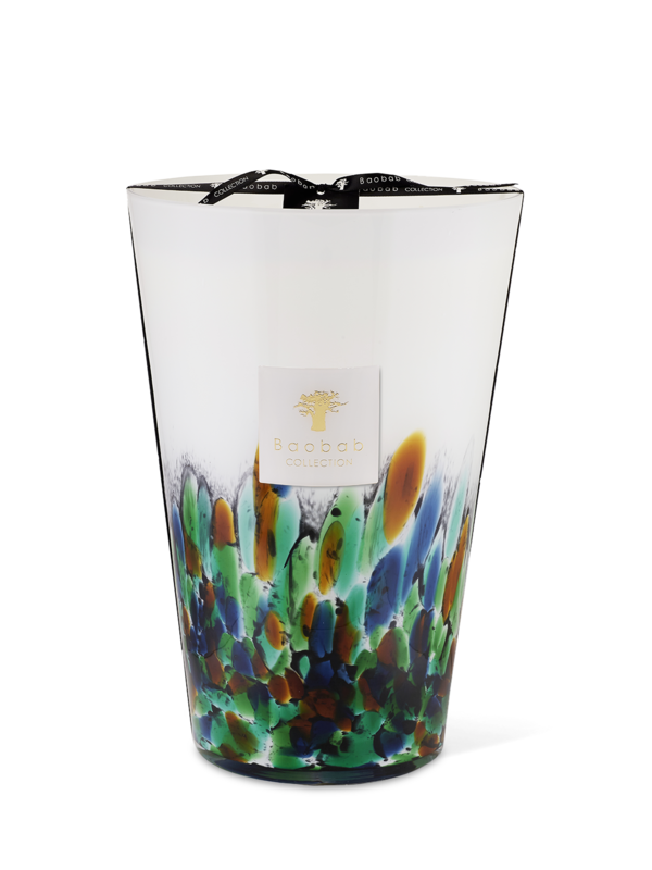 ماكسي ماكس رينفورست أمازونيا