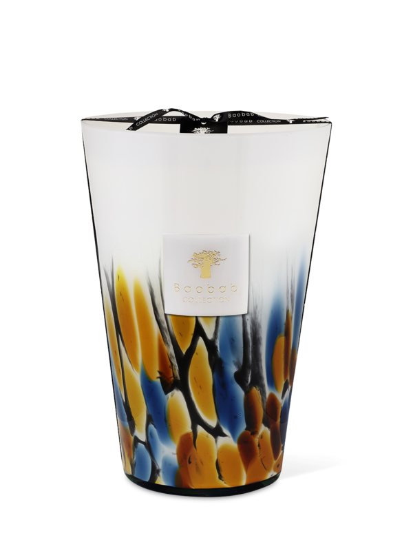 ماكسي ماكس رينفورست مايومبي