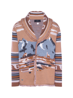 Sierra Vicuña Wool Cardigan