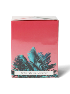 Beverly Hills Palm Tree Scented Candle