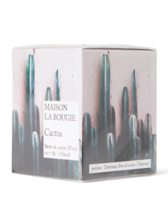 Cactus Scented Candle