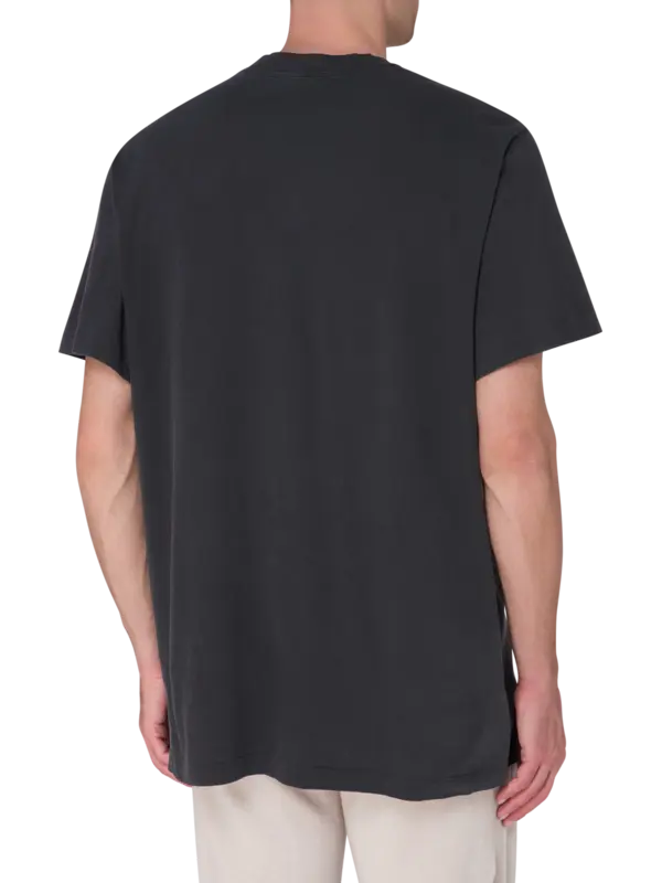 /original/MLJ3352_JAPE_CarbonPigm_3.png_convert-600x800