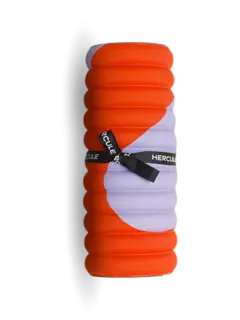 /original/MLPGPA1_HEST_Axelprint_3.png_convert-240x320