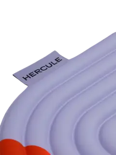 /original/MLPGPA1_HEST_Axelprint_4.png_convert-240x320