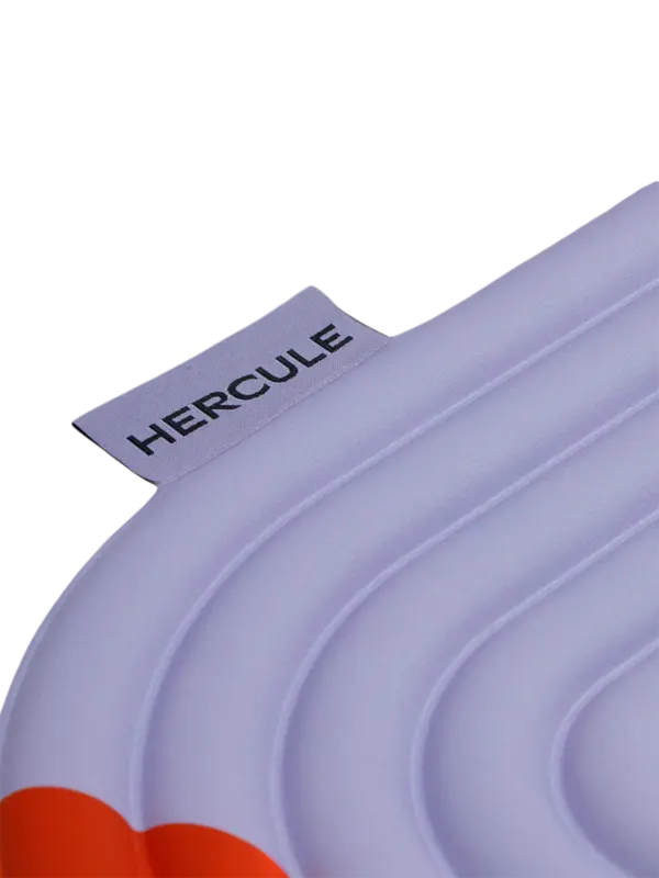 /original/MLPGPA1_HEST_Axelprint_4.png_convert-600x800