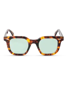 /original/MSESHALG_TBD_Spotted Ha_1.png_convert-240x320