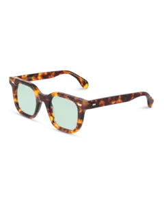 /original/MSESHALG_TBD_Spotted Ha_2.png_convert-240x320