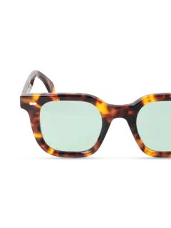 /original/MSESHALG_TBD_Spotted Ha_3.png_convert-240x320