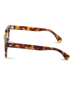 /original/MSESHALG_TBD_Spotted Ha_4.png_convert-240x320