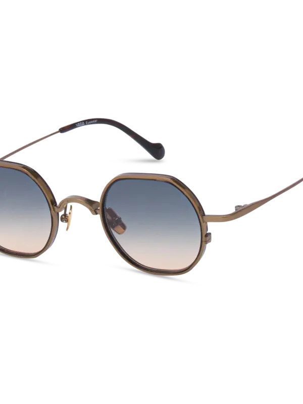 نظارة شمسية داني