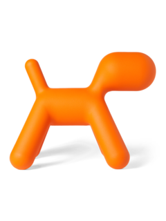 Quirky Orange Puppy