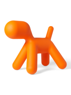 Quirky Orange Puppy
