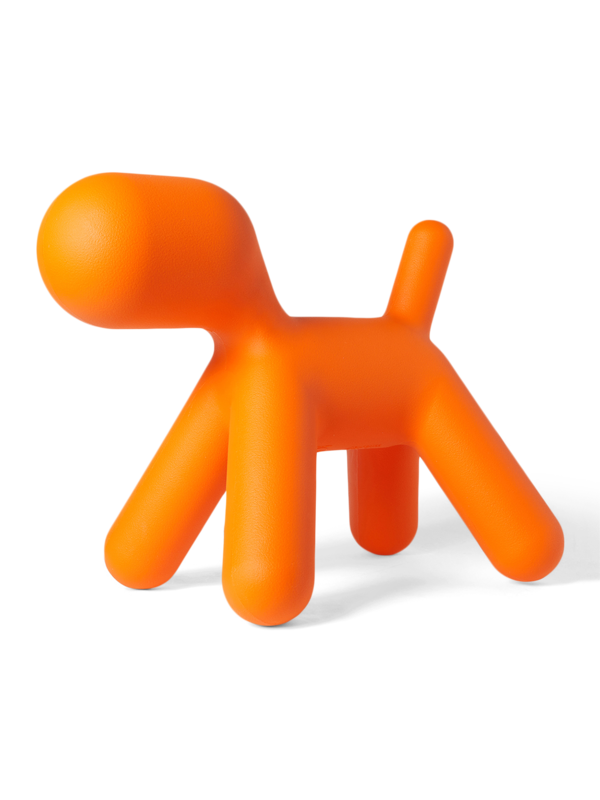 Quirky Orange Puppy