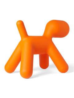 Quirky Orange Puppy