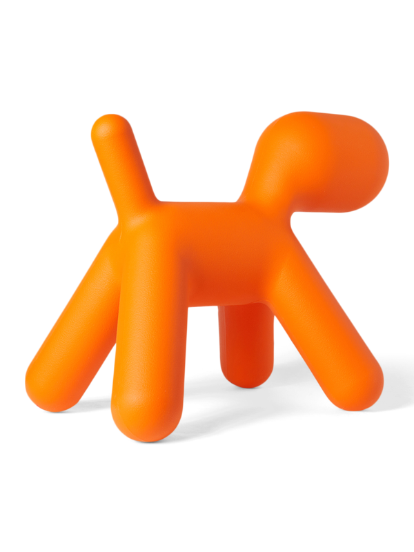Quirky Orange Puppy