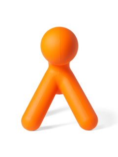 Quirky Orange Puppy