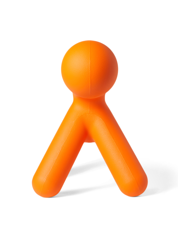 Quirky Orange Puppy