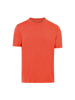 SS TEE PGMT DYE CO TEN