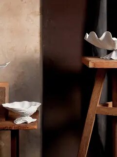 /original/NE100_LOBJ_White_2.png_convert-240x320