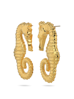 Golden Seahorse Earrings
